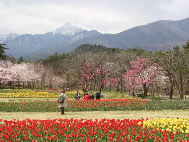 ��O�x�������܂���_���c�A���v�X���Â݂̌����@�x���E�䍂�n��