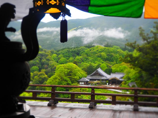 �{������̂Ȃ���_���J��