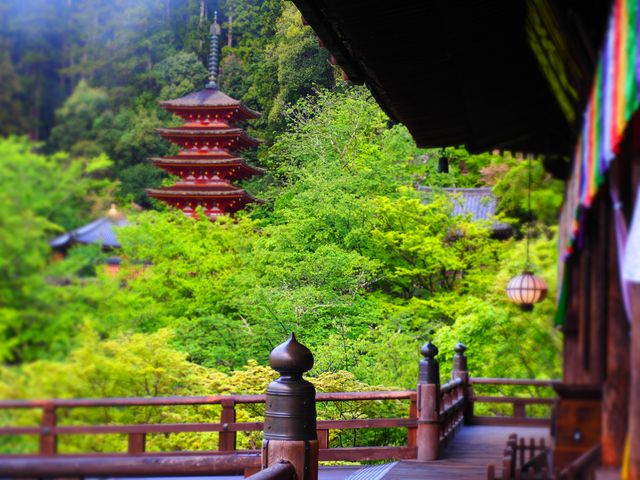 朝もやのかかる五重塔が美しい_長谷寺（奈良県桜井市）