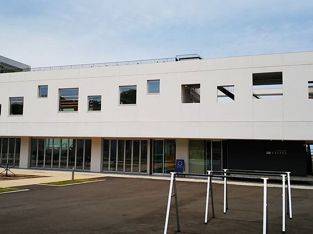 �q�X�C�e���X�@�V�����[���[���܂Ŋ���_�q�X�C�C��