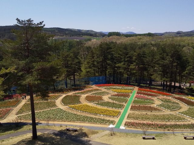 �`���[���b�v_��J��_���t�H���X�g�p�[�N�E�y��