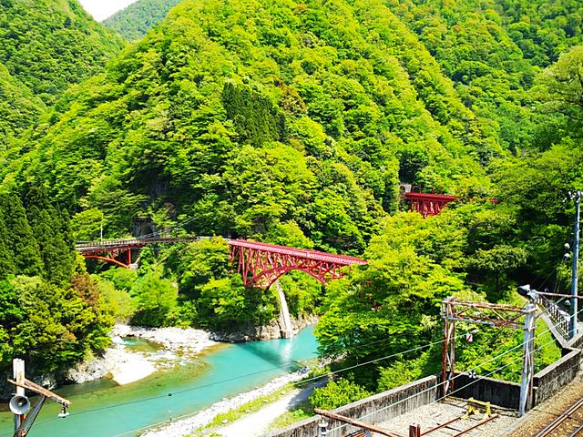 �R�F��_�F�ތ�����