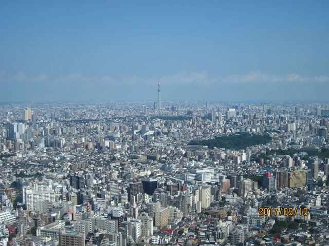 Ă΃XJCc[܂I_TVC60W] Ăڂp[N