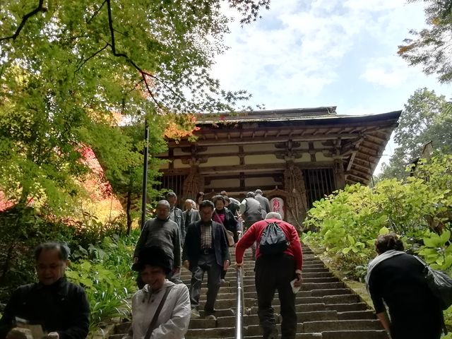 �Βi������Ă����ƕ��i�����V�傪����܂�_�����֎��@��V��