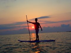 M-Ito̖` ꑍAEghAcA[Xւ̓eʐ^1