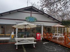 ZC̗R|Yp[NEFCւ̓eʐ^1