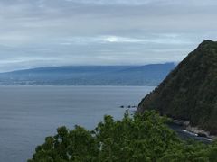 �~���W������������߂��̋u�ւ̓��e�ʐ^1