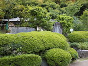 ����񂱂����ނ�����̟��΂̈������ՋL�O��̓��e�ʐ^1