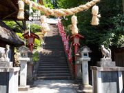 񂳂̓ۍא_Ђ̓eʐ^1