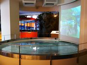 ˂񂳂̍dCLOق̓eʐ^3