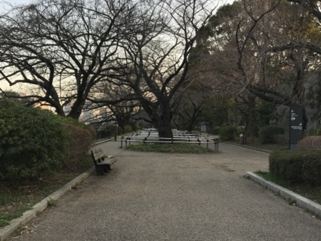 �������͋C_�璹�P������