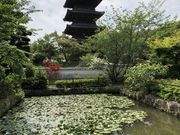 񂳂̋gHTCNOR[X̓eʐ^3