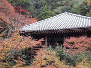 Ȃ񂳂̎Oꎛ̍gt̓eʐ^1