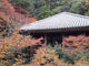なっかんさんの三滝寺の紅葉への投稿写真2