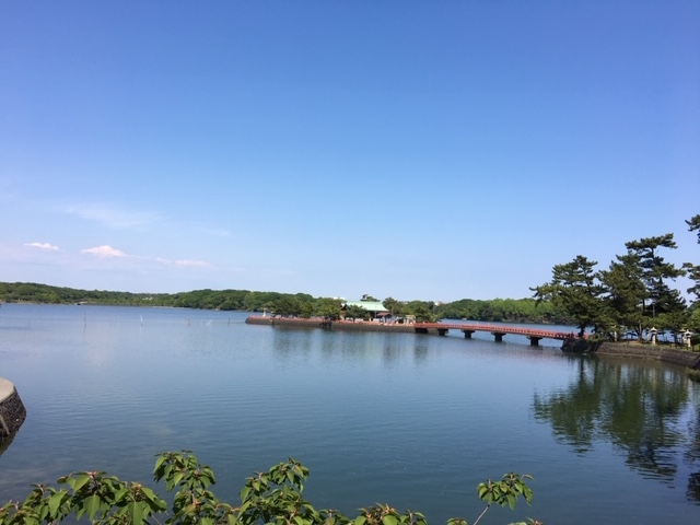 ときわ公園|山口県宇部市
