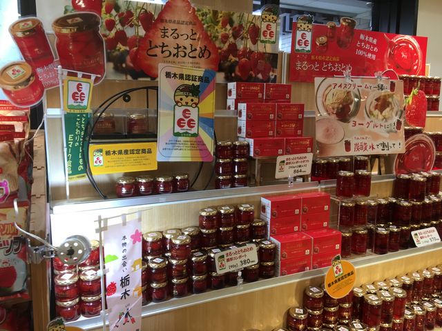 ƂƂ߂̃WȂ_kԓߐ{T[rXGAij