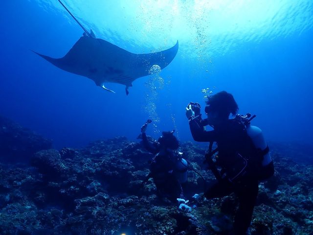 �i�����E�}���^_�_�C�u�n�E�X�}���^�Ί_��