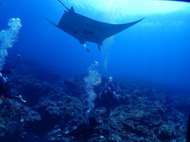 �i�����E�}���^_�_�C�u�n�E�X�}���^�Ί_��