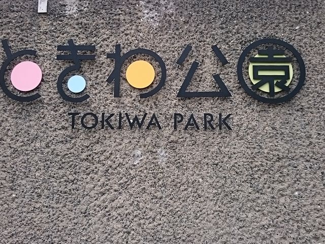 񂿂񂳂̑̌wKكX^̓eʐ^1