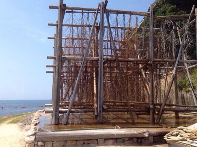 ���̎����c_�܂������̉��@�������u�H�[�Ƃ�����v