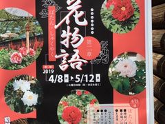 �}������̂Ƃ�������^�{�^���ւ̓��e�ʐ^1