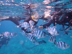 񂱂̐̓A@Dive@ւ̓eʐ^2