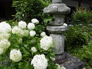 moru����̂��������̎R���O�����̓��e�ʐ^2