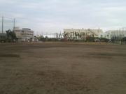 Ƃ񂳂̌Ó쎬̓eʐ^1