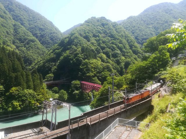 �F�ތ�����w�ɖ߂��Ă���g���b�R���_�F�ތ�����