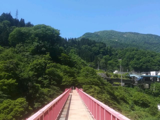 �F�ތ��_���W�]��֌������Ԃ���_�F�ތ�����