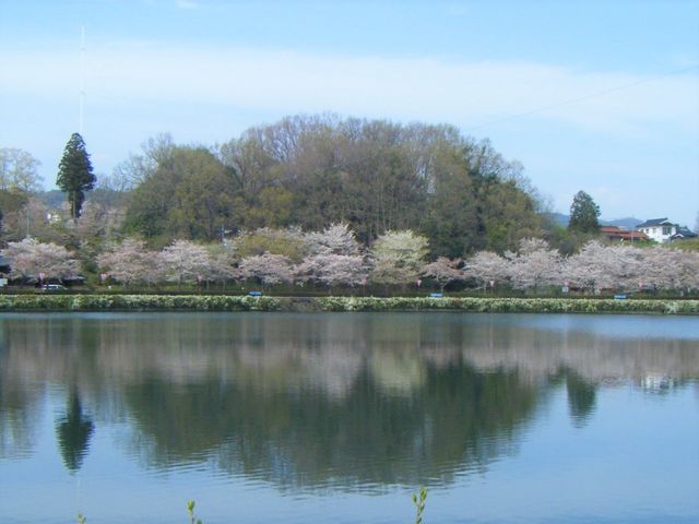 �Ζʂɉf������t�@���^�X�e�B�b�N_���r