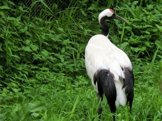 �����Ԃ̃R���g���X�g���ƂĂ�����_�O���ߎ��R����