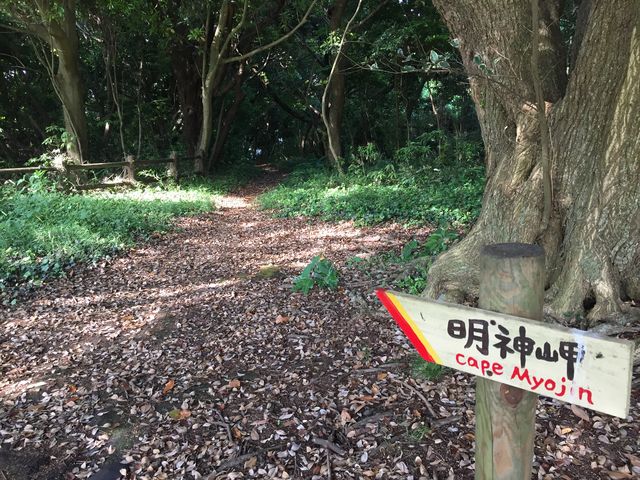 �܂��ŕ|���U���H�B�}�ȊK�i�A�t�i���V�Ɏ�_��[�����R����