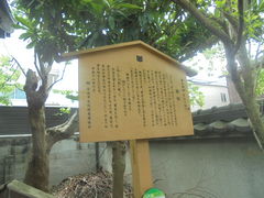 ��������̌�������F���\���u���P�v�ւ̓��e�ʐ^1