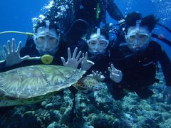 ܂񂳂̌cǊ(P})C攼cA[X@OPGւ̓eʐ^1