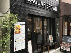 ̂肳Jaguar Brown HtXւ̓eʐ^1