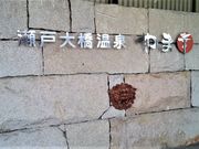 ɂ[B̐ˑ勴 ܍K̓eʐ^2