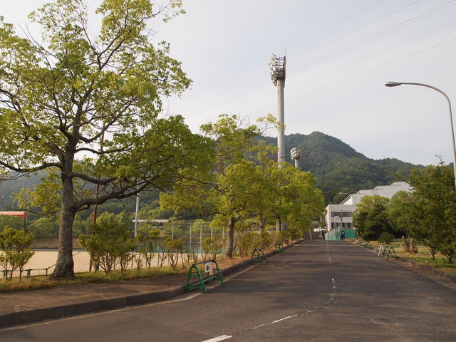 �O���E���h_������������