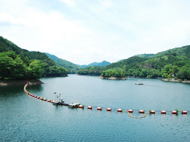 �_��_�����_��