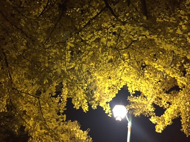 �����F_�k��C�`���E����