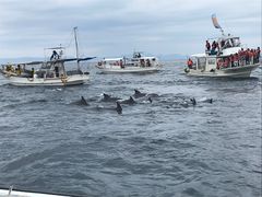 �z������̃C���J�E�H�b�`���O�i���̉w �V���s�C���J�Z���^�[�j�ւ̓��e�ʐ^1