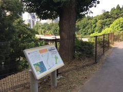 ���݂�L�b�`������̋�ጩ���Ղւ̓��e�ʐ^1