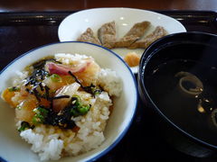 Lic̓̉w@݂ȂƃIAVX 킶܁@Lւ̓eʐ^1