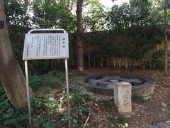 ���݂�L�b�`������̐����J�����ւ̓��e�ʐ^1