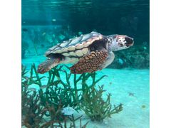 ����V�[���[���h�̎ʐ^1