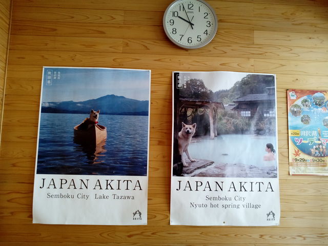 �H�c�̃|�X�^�[_�A���p���܂���