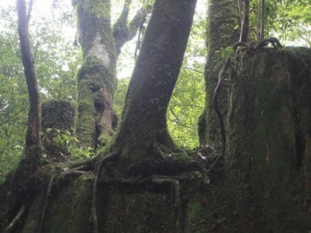 ���N�X�M_���N�X�M�����h