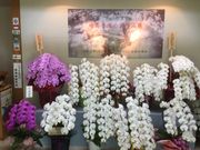 602̂Ԃ~[WAEgق̓eʐ^2