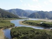 111̍̐X}O[up[N̓eʐ^1