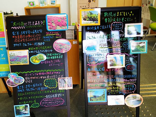 菑̊όē_̉w V̋񂳂